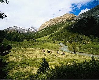 动视暴雪将推出新《使命召唤》语音聊天监管功能